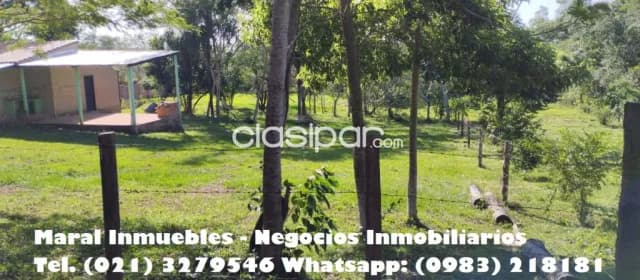 Amplio terreno en santa elena - itacurubi de la cordillera — foto 3