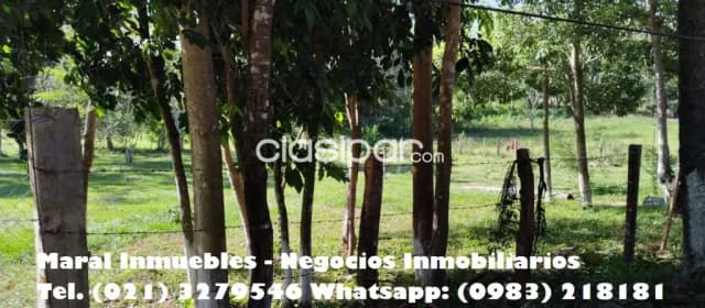 Amplio terreno en santa elena - itacurubi de la cordillera — foto 4
