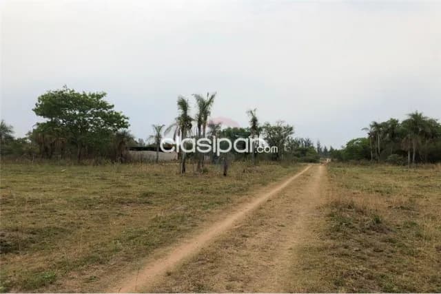 Terreno - Venta - Paraguay Central Ypacaraí — foto 4