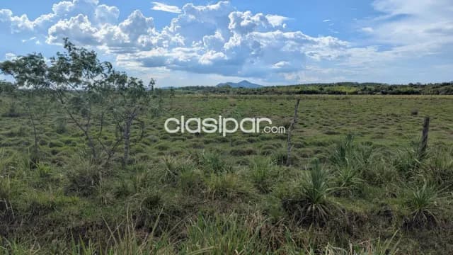 Terreno Rural en Ybytymi - 6 Ha, foto 4