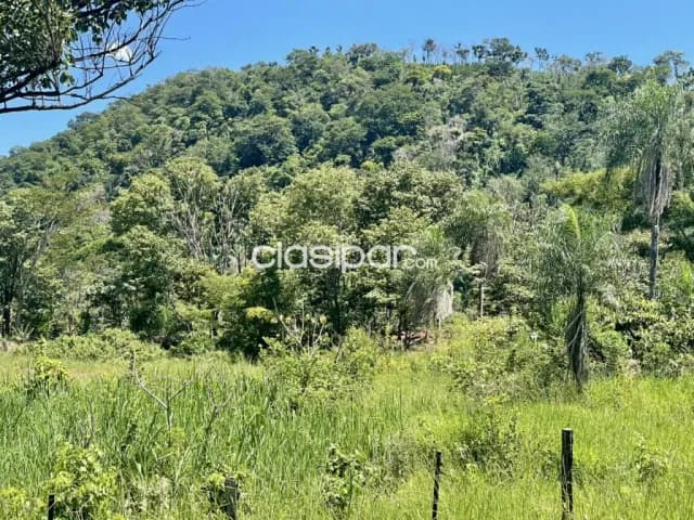 Terreno Rural en Cerro Corá sobre Ruta Pavimentada - 49 Ha — foto 3