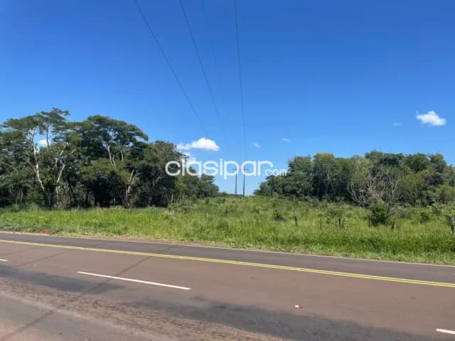 Terreno Rural en Cerro Corá sobre Ruta Pavimentada - 49 Ha — foto 4
