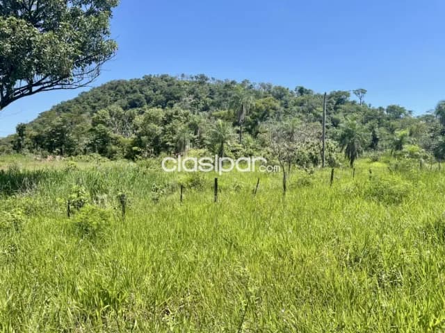 Terreno Rural en Cerro Corá sobre Ruta Pavimentada - 49 Ha — foto 5