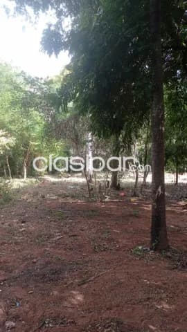 Terreno en aregua - dpto central, foto 2