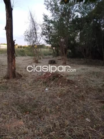 Terreno - San Bernardino - barrio caacupé mi, foto 5