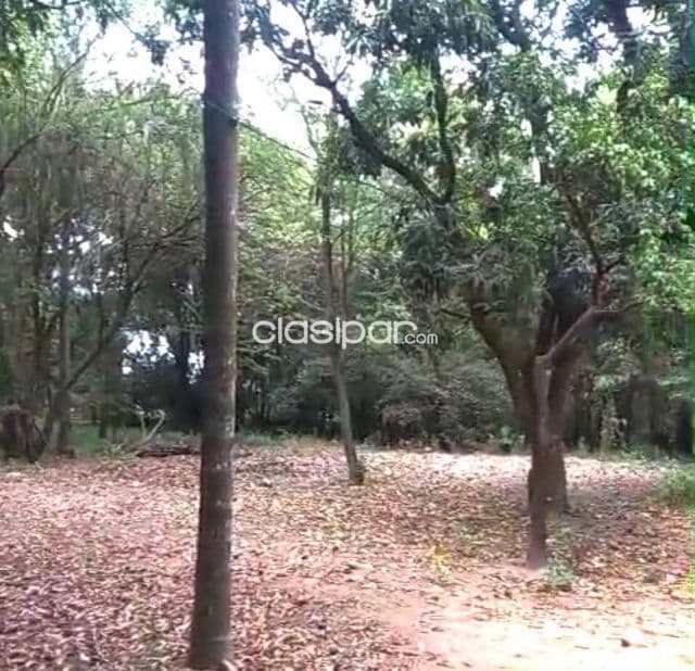 ¡oportunidad de inversión - terreno en venta en altos! E2578, foto 1