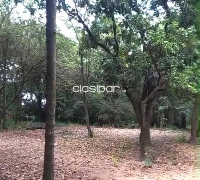 ¡oportunidad de inversión - terreno en venta en altos! E2578, foto 4