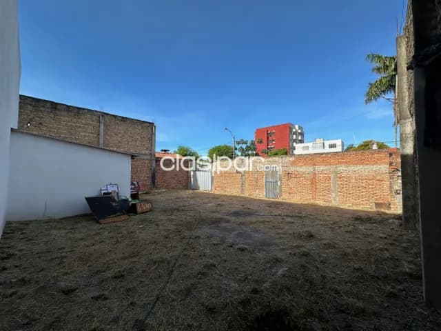 Showroom y oficinas sobre av. Madame lynch frente a ñu guazú, foto 5