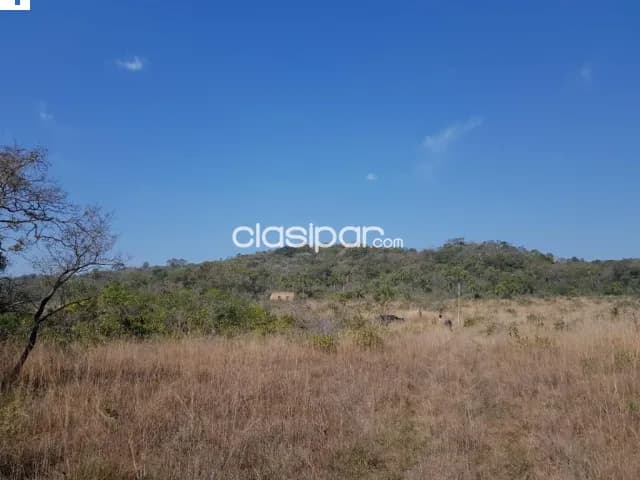¡Increíble oportunidad en Nueva Colombia, Cordillera! 🌿, foto 4