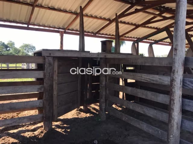 San pedro del ycuamandiyú: 876 has, totalmente equipadas p/ ganadería, s/ rio jejuí, foto 4