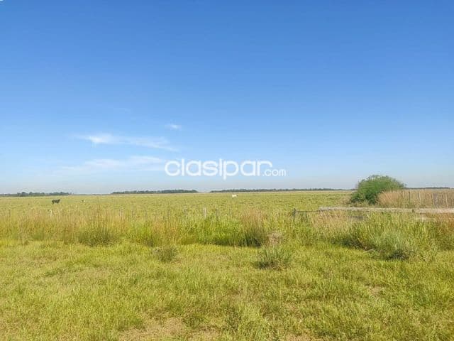 en venta estancia formada entre arroyos y esteros y 25 de diciembre — foto 1