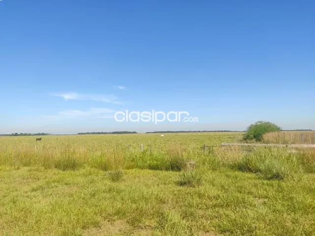 en venta estancia formada entre arroyos y esteros y 25 de diciembre — foto 2