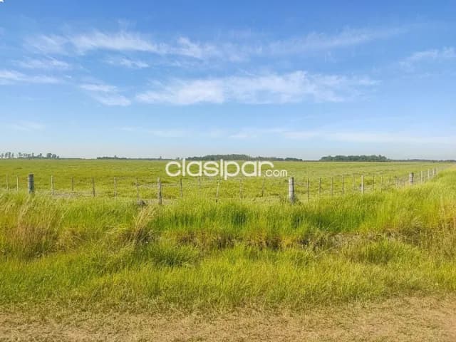 en venta estancia formada entre arroyos y esteros y 25 de diciembre — foto 4