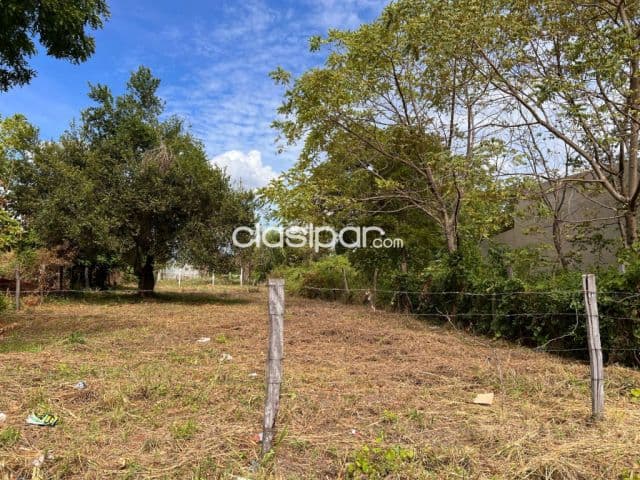 Terreno en Luque - jardin de oro
