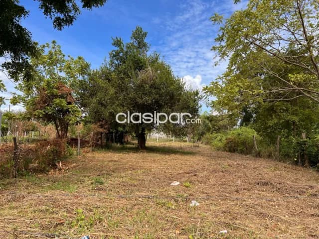 Terreno en Luque - jardin de oro, foto 5