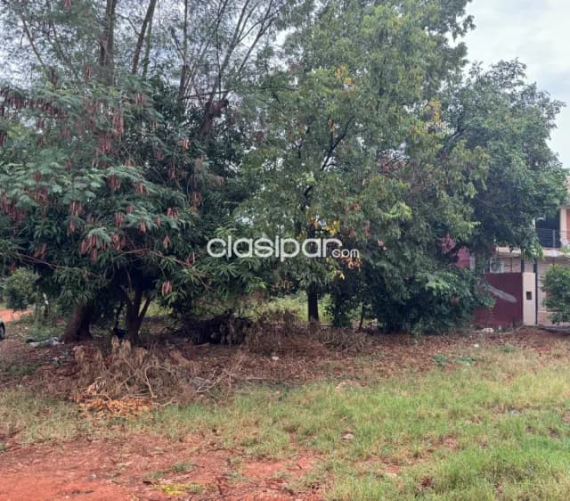 Terreno en esquina cañada san rafael Luque, foto 3