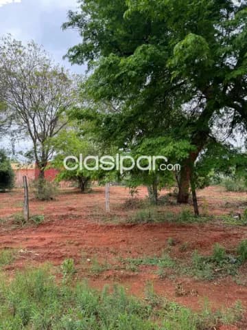Terreno en costa sosa límite con cañada san rafael luqu, foto 5