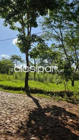 Hermoso lote en esquina urbanizacion alta cumbre hohenau 13x38 — foto 3