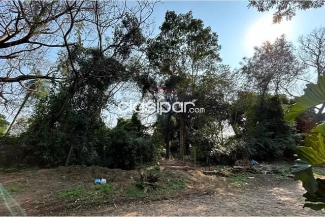 Terreno en San Bernardino — foto 4