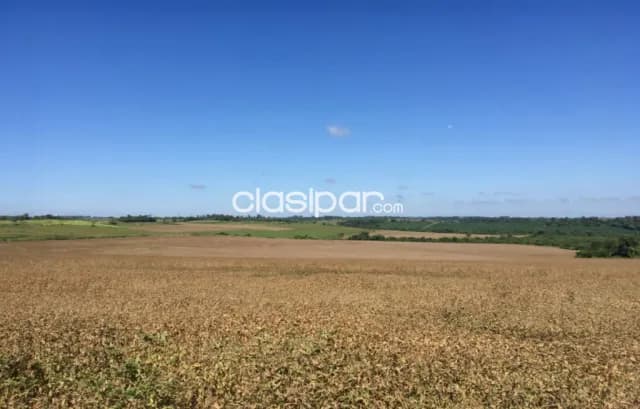 Campo Agrícola Mecanizado en Pirapó - 188 Ha — foto 5