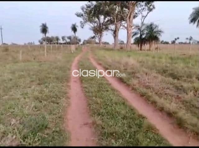 Campo Agrícola/Ganadero en San Ignacio sobre Ruta - 53 Ha
