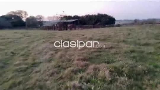 Campo Agrícola/Ganadero en San Ignacio sobre Ruta - 53 Ha, foto 3