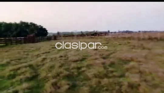 Campo Agrícola/Ganadero en San Ignacio sobre Ruta - 53 Ha, foto 4