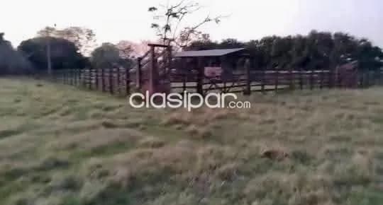 Campo Agrícola/Ganadero en San Ignacio sobre Ruta - 53 Ha, foto 5