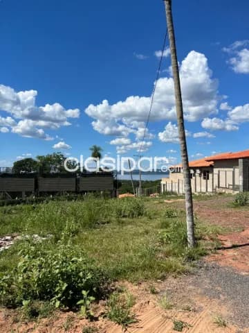4 terrenos juntos en ESTANZUELA — foto 5