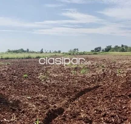Terreno Rural en Yguazú - 4 Ha — foto 2