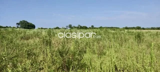 Terreno Rural en Yguazú - 4 Ha — foto 4
