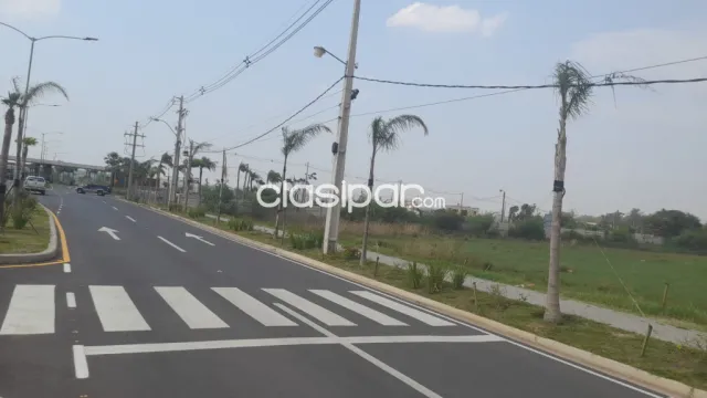 Luque, Asunción: Inigualables 5 has, p/ crecimiento inmobiliario, rentabilidad asegurada, foto 4