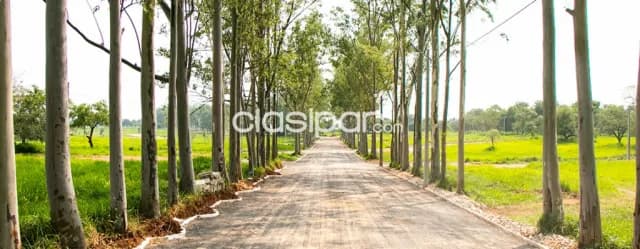 Urbanizacion arandu 1 - nueva italia, foto 4