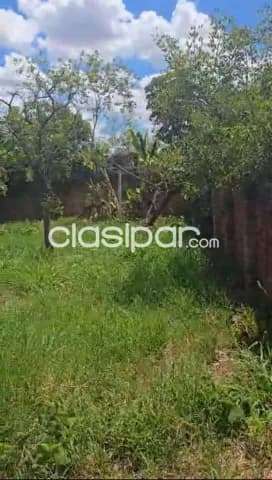 Terreno amurallado en San Lorenzo a 400 mts de la ruta 2 a, foto 4