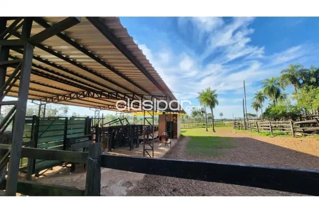 Propiedad rural en paraguari, foto 4