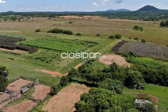 En venta establecimiento agroganadero — foto 2