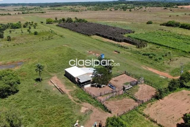 En venta establecimiento agroganadero — foto 3