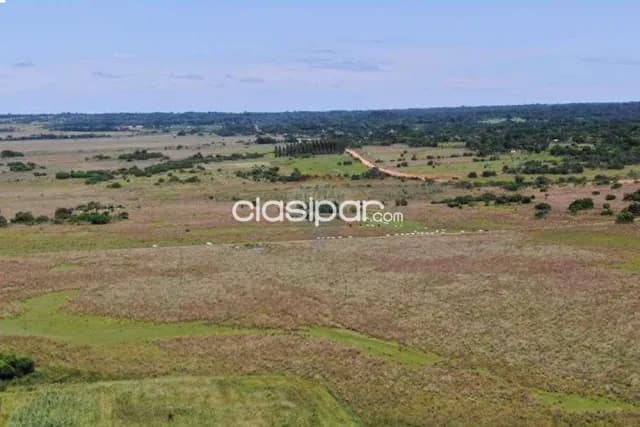 En venta establecimiento agroganadero — foto 4