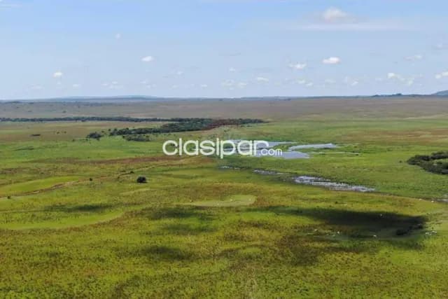 En venta establecimiento agroganadero — foto 5