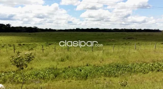 Terreno Industrial/Comercial en Ypane costas al Río Paraguay, foto 2
