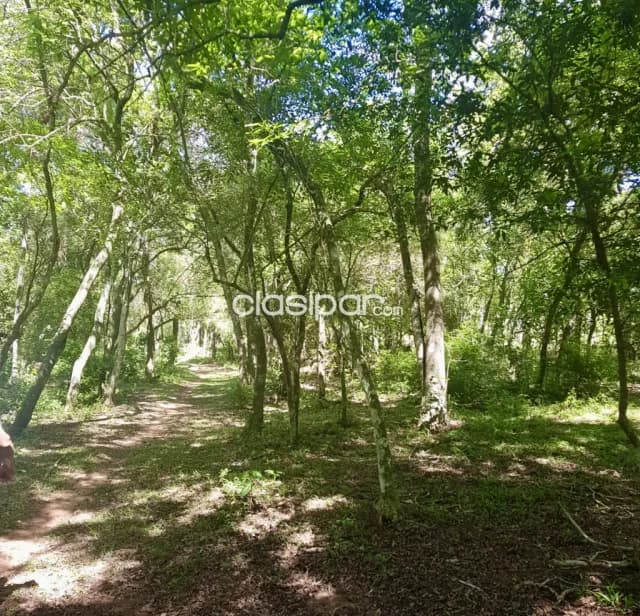 Terreno Rural en Caacupé - 6 Ha, foto 4