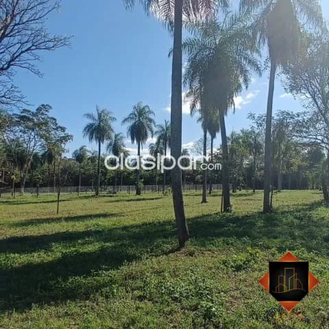 ¡venta de lotes en ypane, potrerito!, foto 4