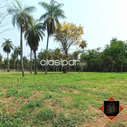 ¡venta de lotes en ypane, potrerito!, foto 5