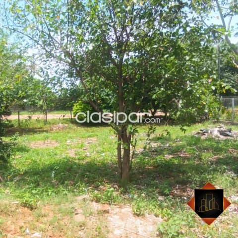 ¡Terreno en Venta en Ypane, Ytororo! — foto 2
