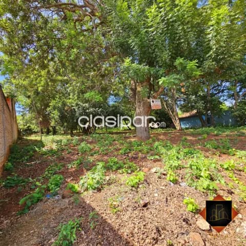 ¡Terreno en Venta en Ñemby, Barrio Caaguazu!, foto 2