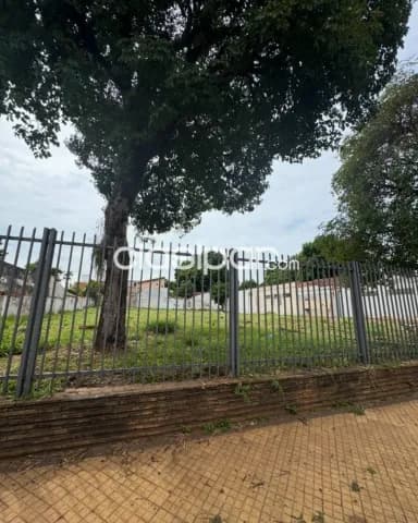 En venta terreno en Luque id 33382 — foto 4