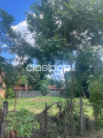 En venta terreno en San Lorenzo id 33315 — foto 2