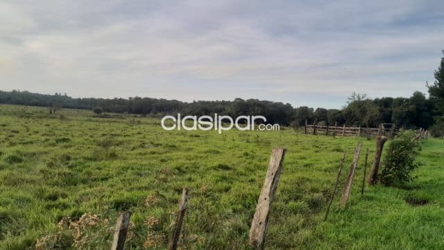 Terreno Rural en Encarnación - 7 Ha