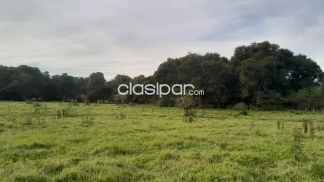 Terreno Rural en Encarnación - 7 Ha, foto 3