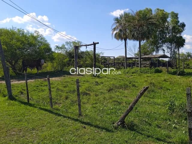 Villa oliva ypeka’e: Inmejorables 500 has totalmente formadas, arroz, agro-ganadera, foto 5